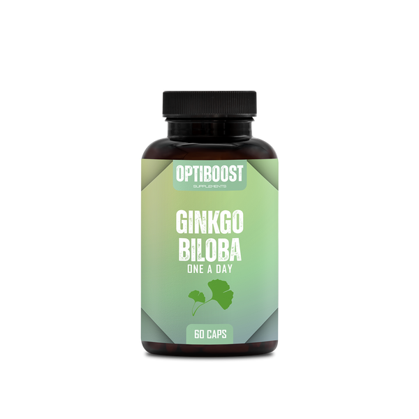 Ginkgo One a Day - 60 Capsules